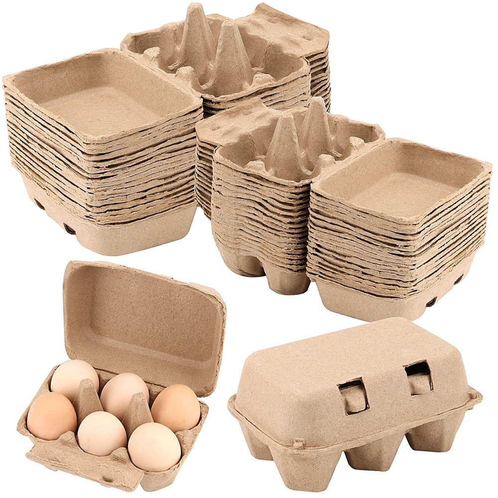 40 Pack 6 Count Egg Cartons, 6 Cell Chicken Egg Holders