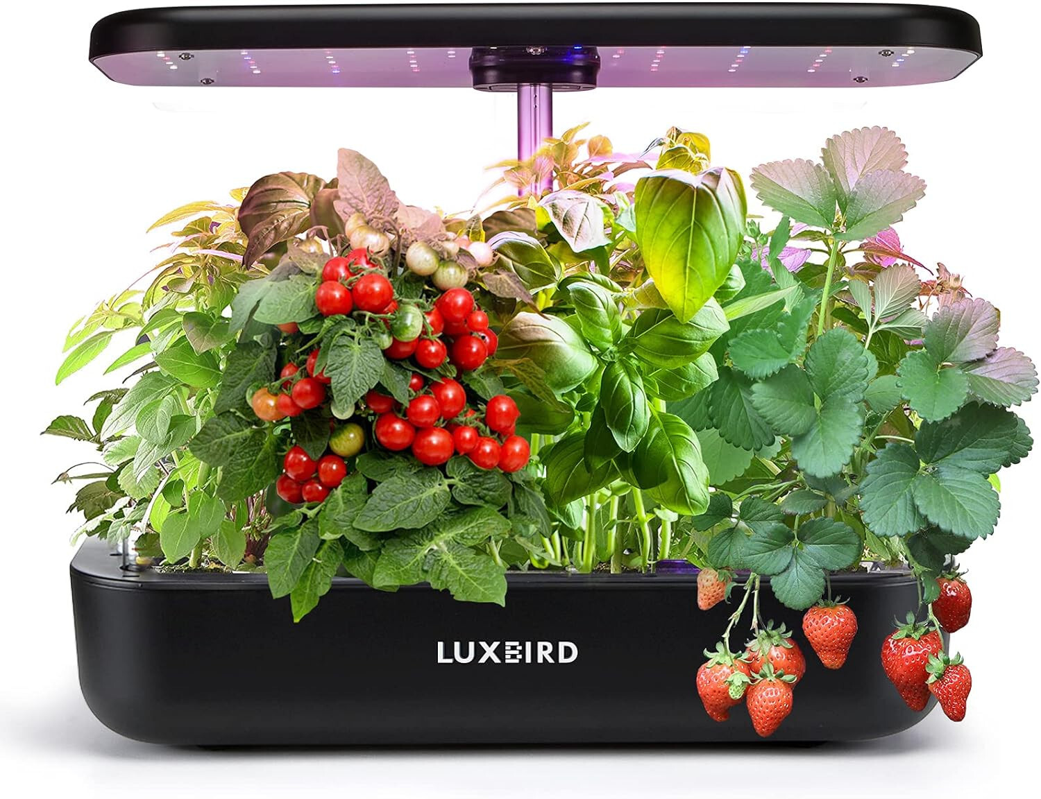 Hydroponics Growing System Indoor Herb Garden Starter Kit Plants Germination 36W