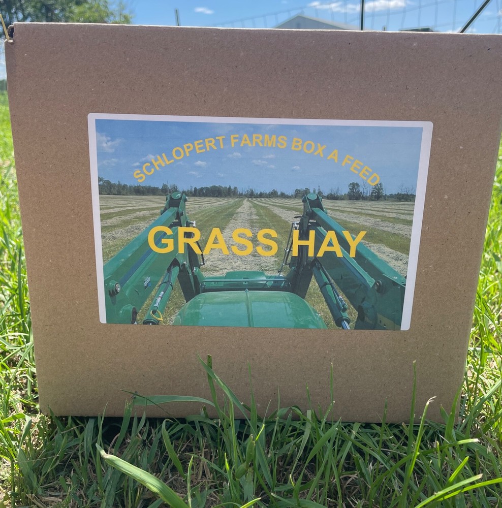 Grass hay 