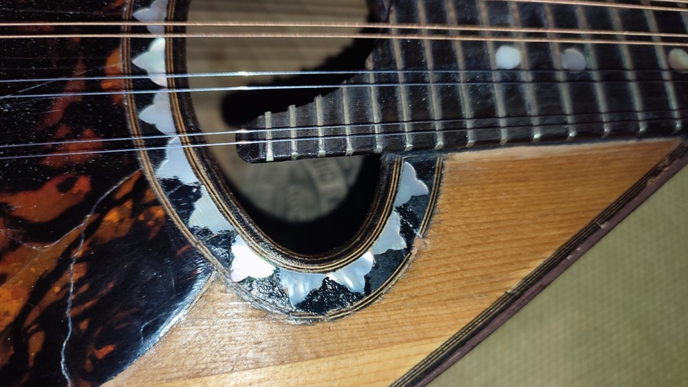 1904 Luigi Embergher Mandolin