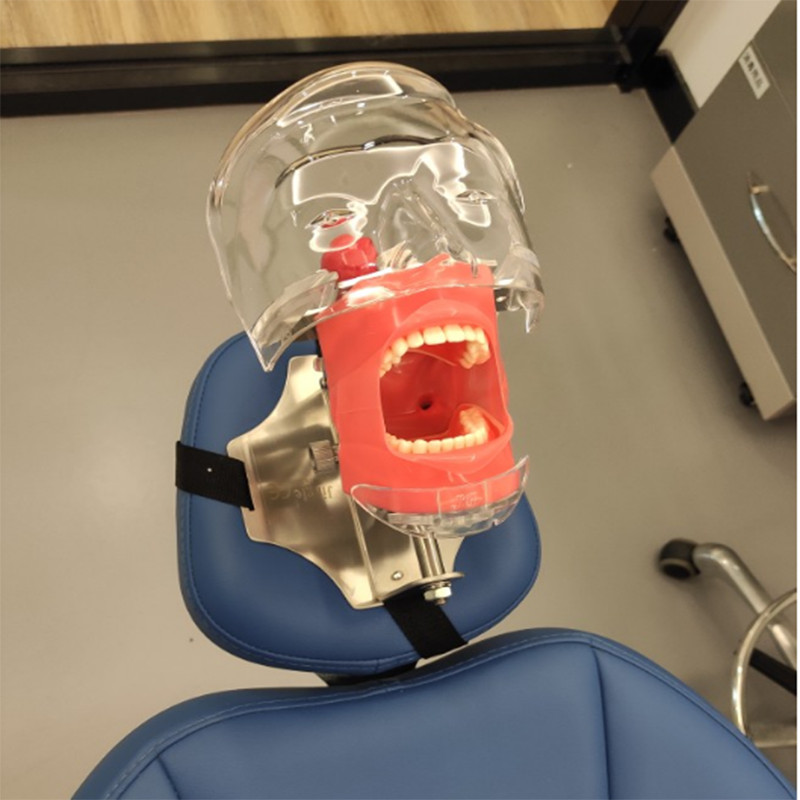 Dental Manual Manikin Simulator Phantom Head Model for Dental Chair Headrest