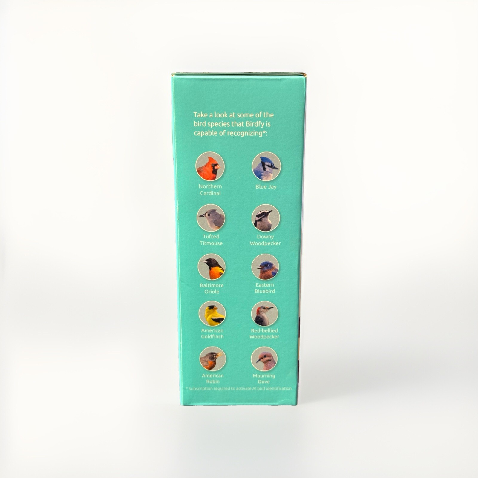 BIRDFY Camera Smart Bird Camera Wild Bird Watching & Recording Video w/Bracket