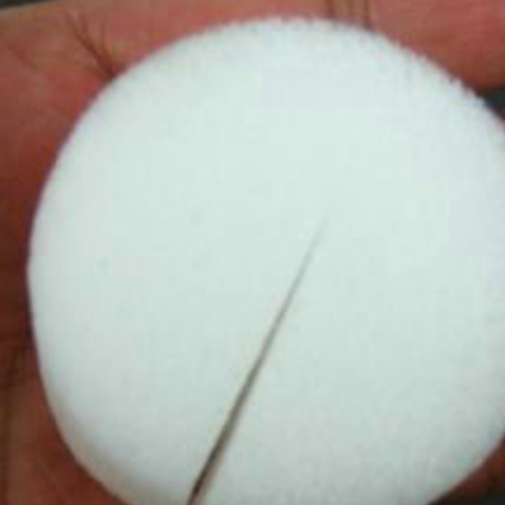 100 PCS Vegetables Cultivation Tools Sponge Hydroponic Planting