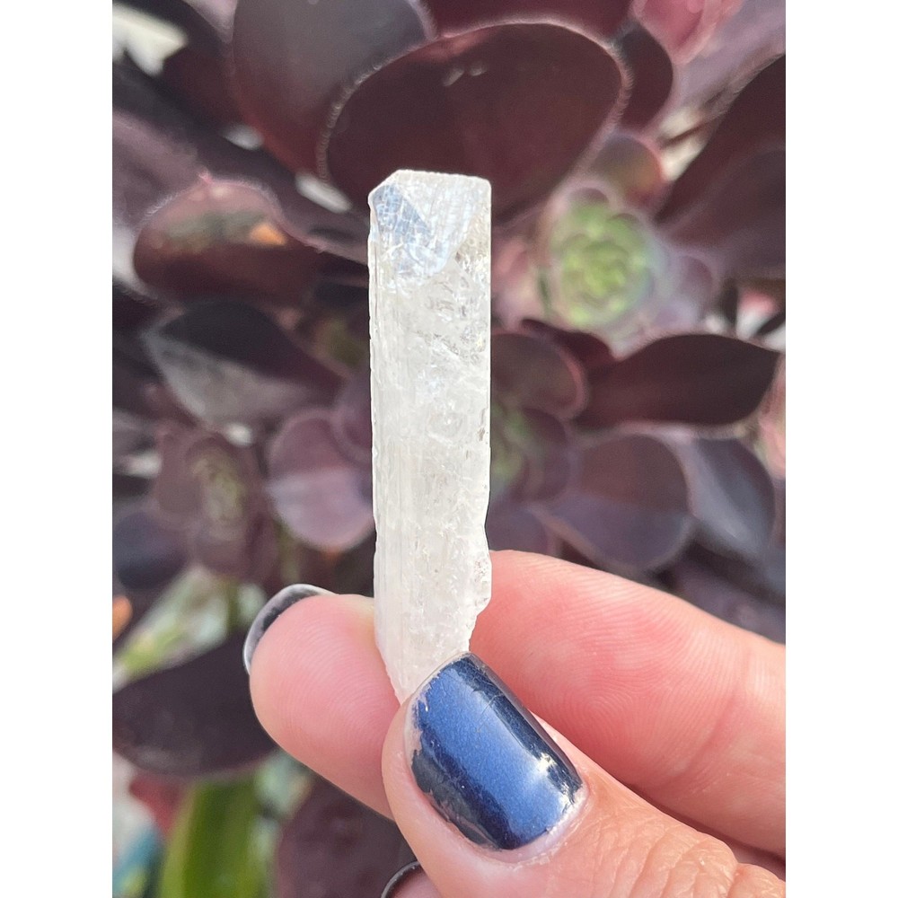 Aurora Mine Danburite Crystal Point: Raw Healing Stone, Mexico (1.7")