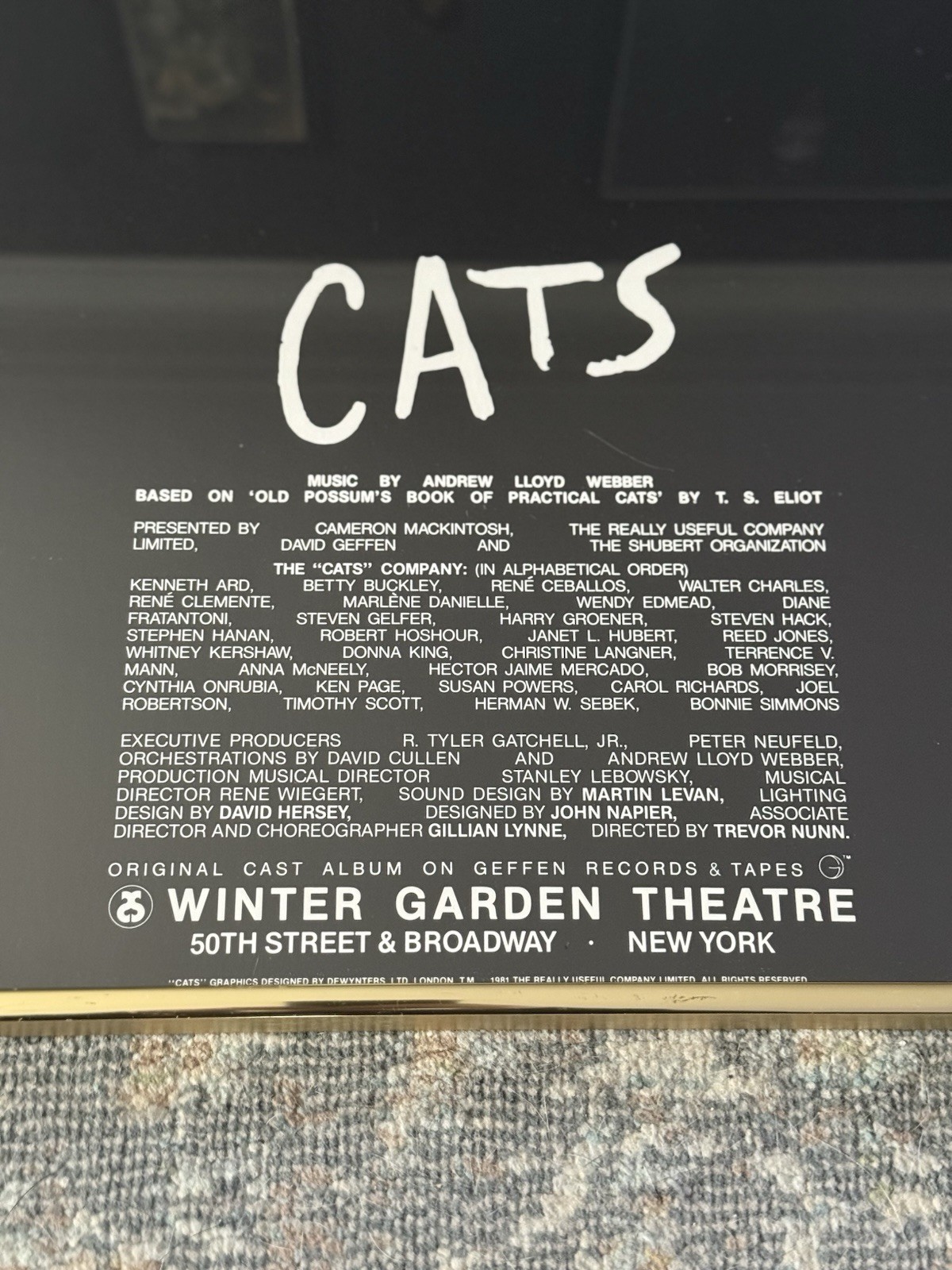 Vintage 1981 “CATS” Musical @ Winter Garden Theater New York Framed Poster