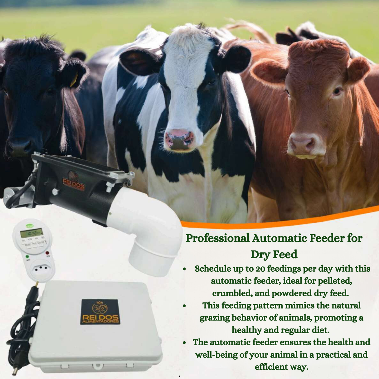 Automatic Feeder for Cows and Calves, Food Dispenser with Timer, Healthier Herd