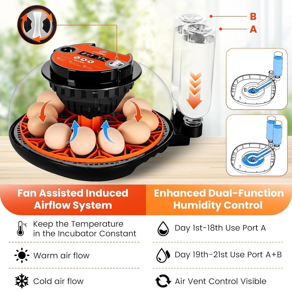 12 Egg Incubator for Hatching - Chicken, Duck, Quail & Goose – Automatic Egg ...