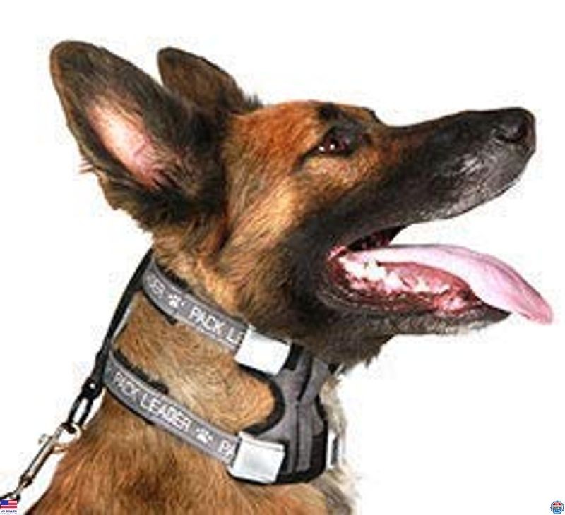 Cesar Millan Pack Leader Collar™ - Premium Training Collar by Dog Whisperer,