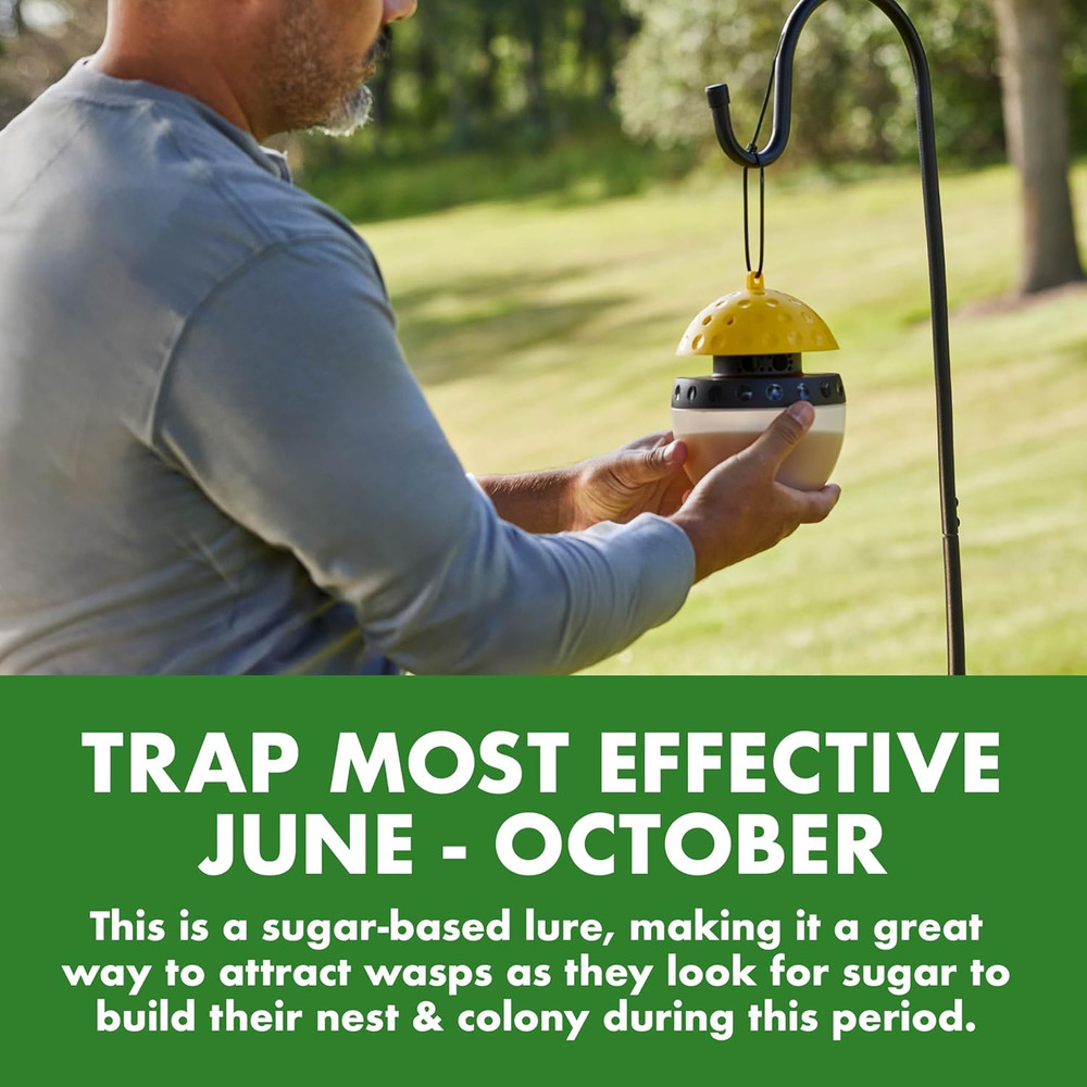 Wasp Hornet Yellowjacket Trap for Quick-Drown Insect Control