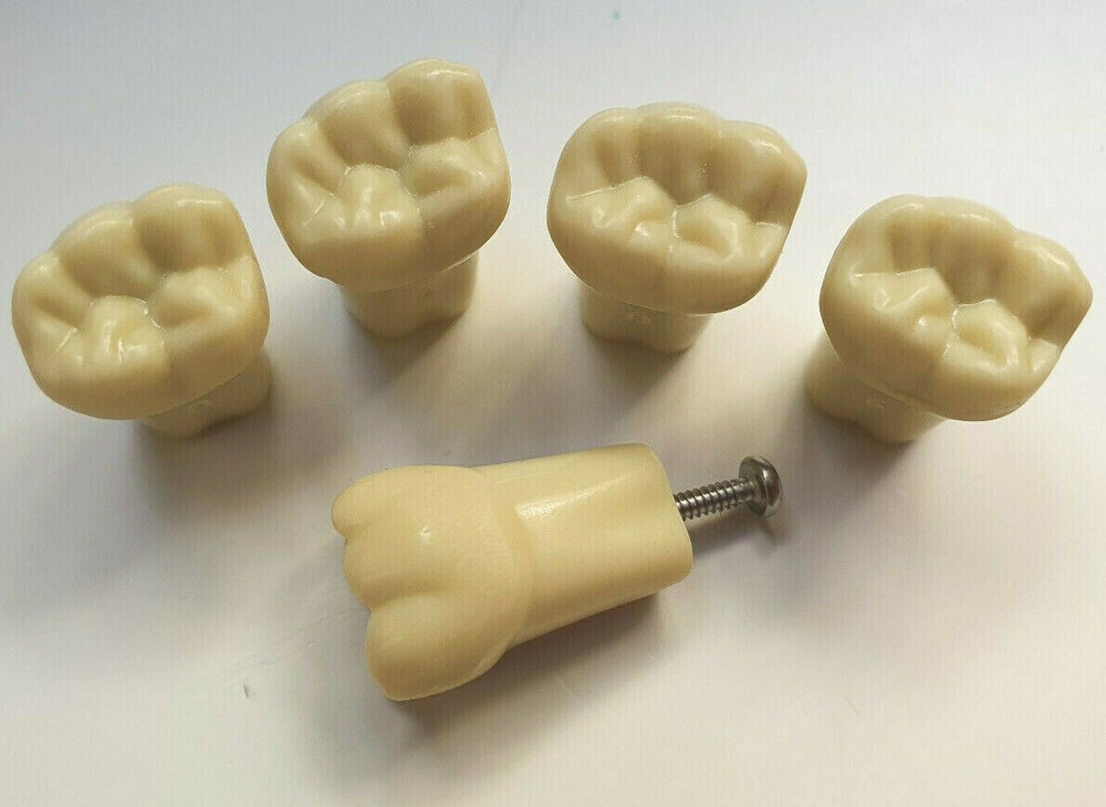 Frasaco type Compatible Replacement AG3-A2 Typodont Practice Teeth. (5 total)