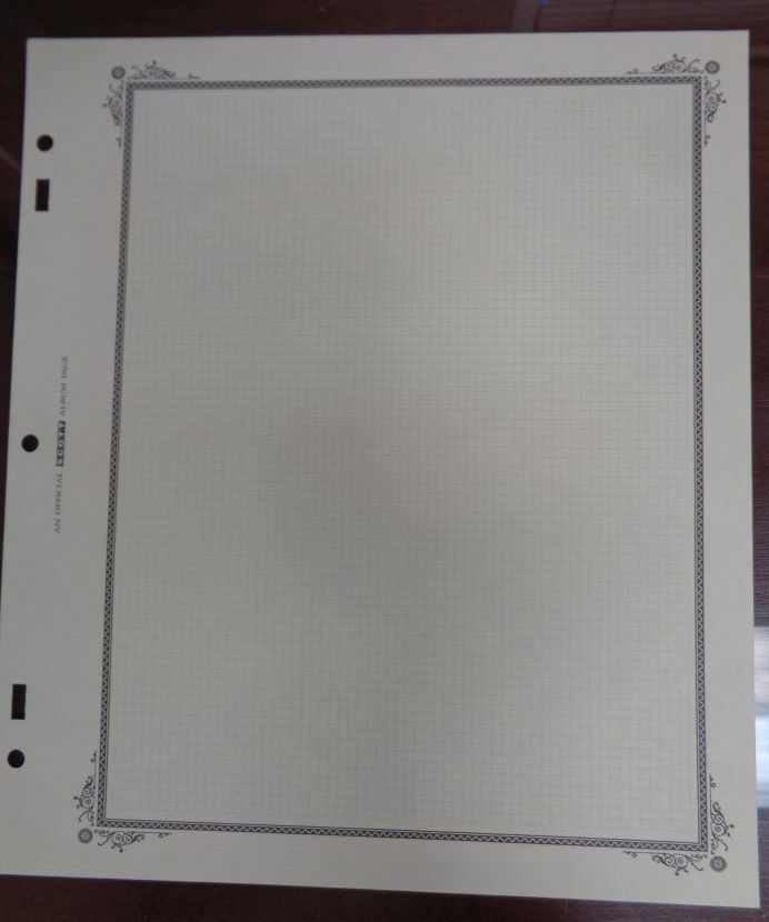 Scott Specialty Quadrilled Quad-ruled blank stamp pages pack 20 ACC111 Border B