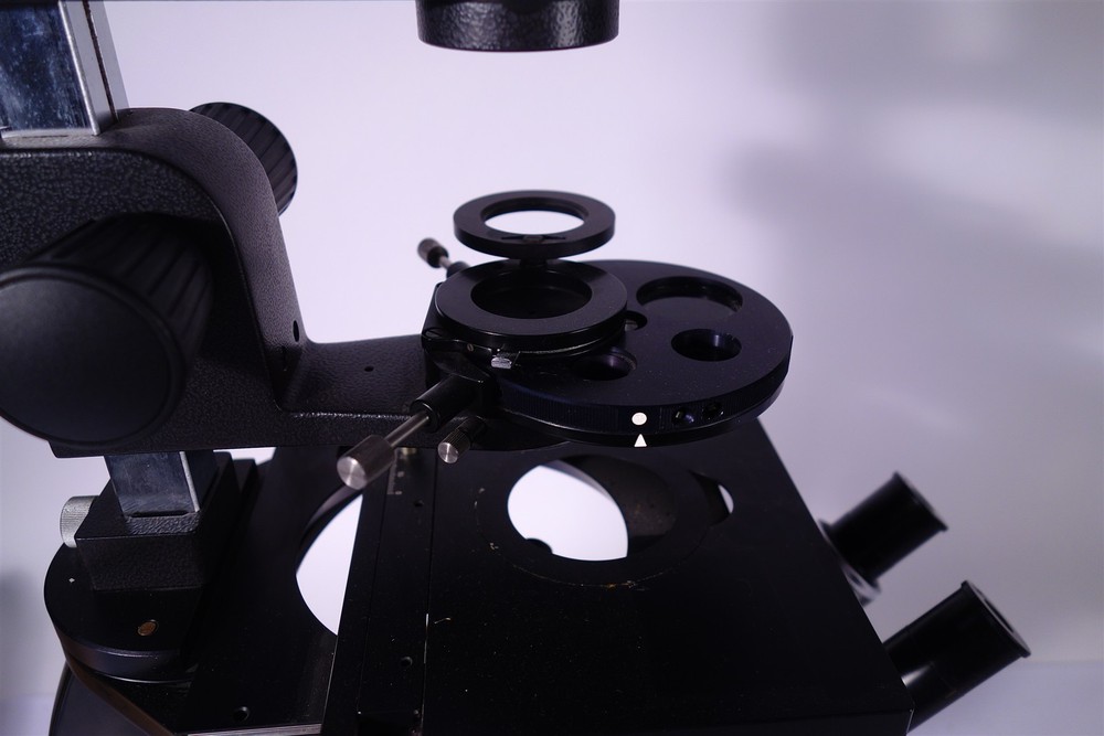 Wild M40 Inverted Phase Contrast Microscope