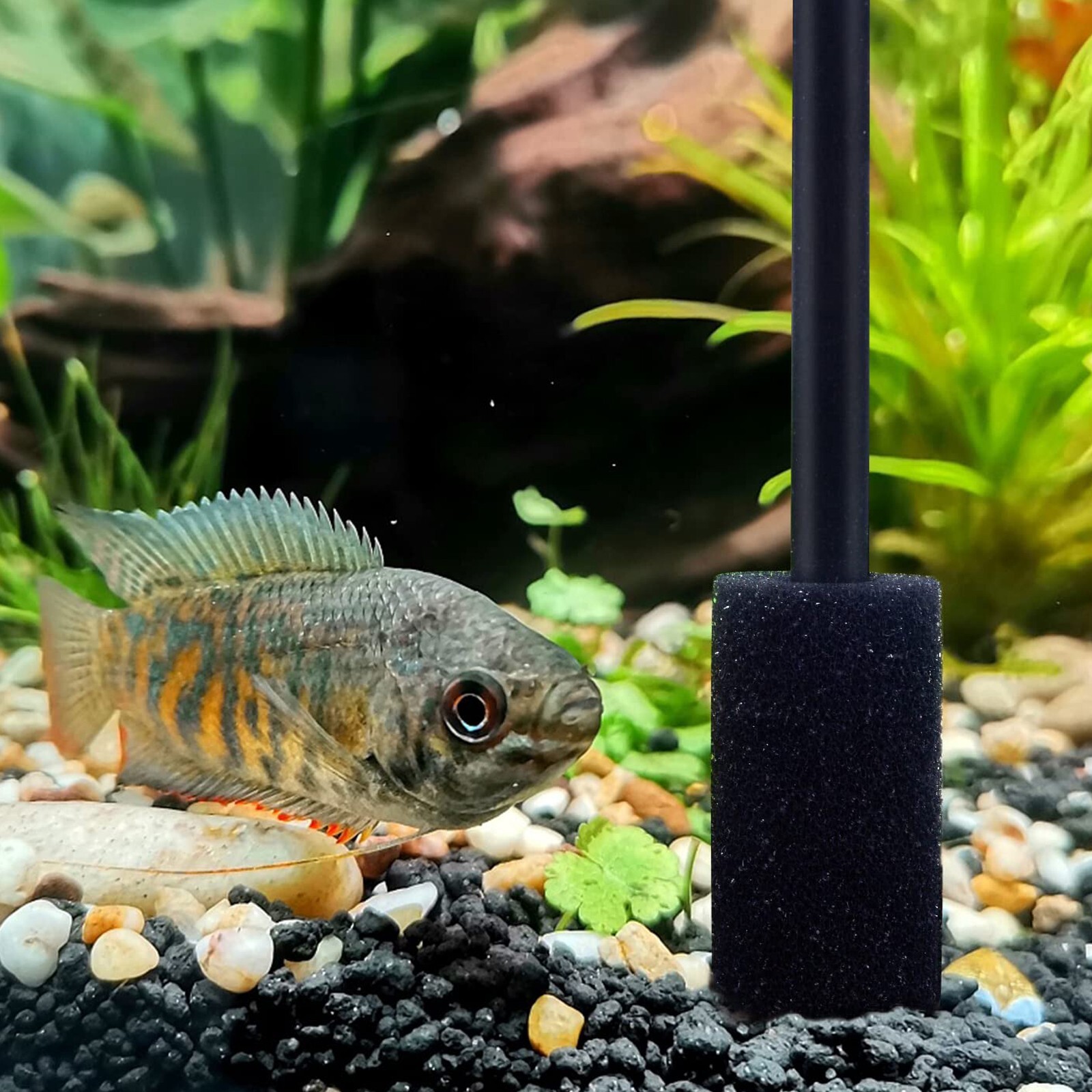 4 X Pre-Filter Sponge for Fluval Edge Aquarium