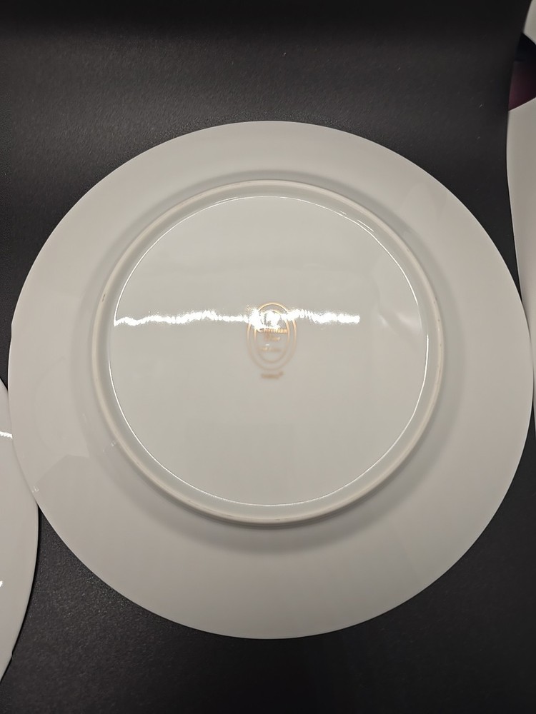 Christain Dior Dinnerware Set