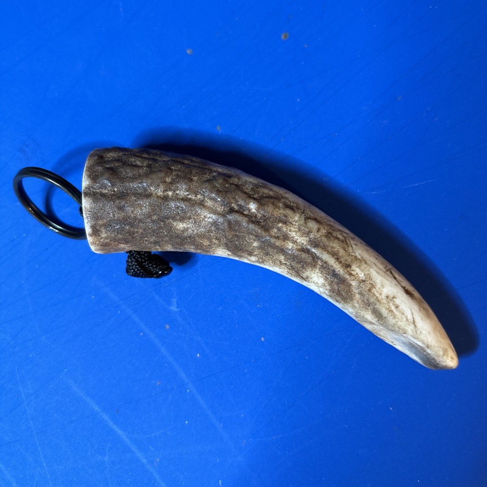 Horn Key Chain