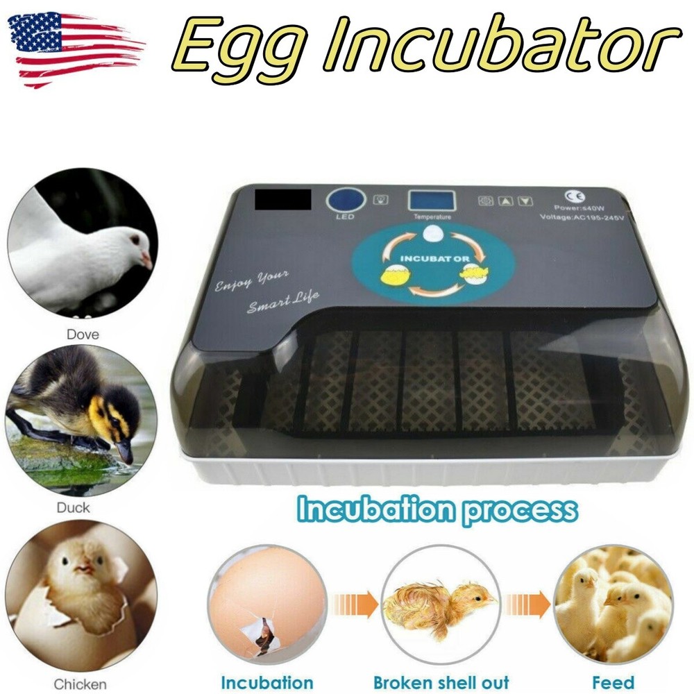 12 Eggs Mini Visual Egg Incubator Digital Egg Incubator w/Automatic Turning