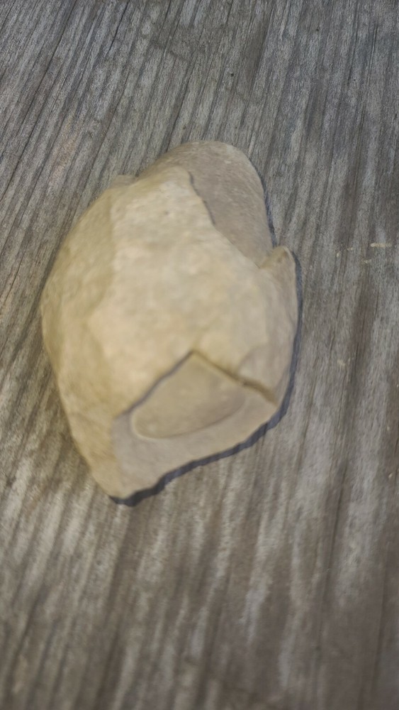 Stone (oval) embedded inside of shale