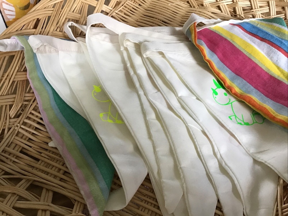 Handmade Double Sided Bunting 12 Flags Approx 3m - White And Multi Dinosaur