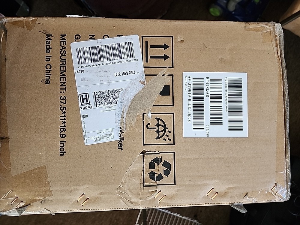 All Vibrant Upright Walker