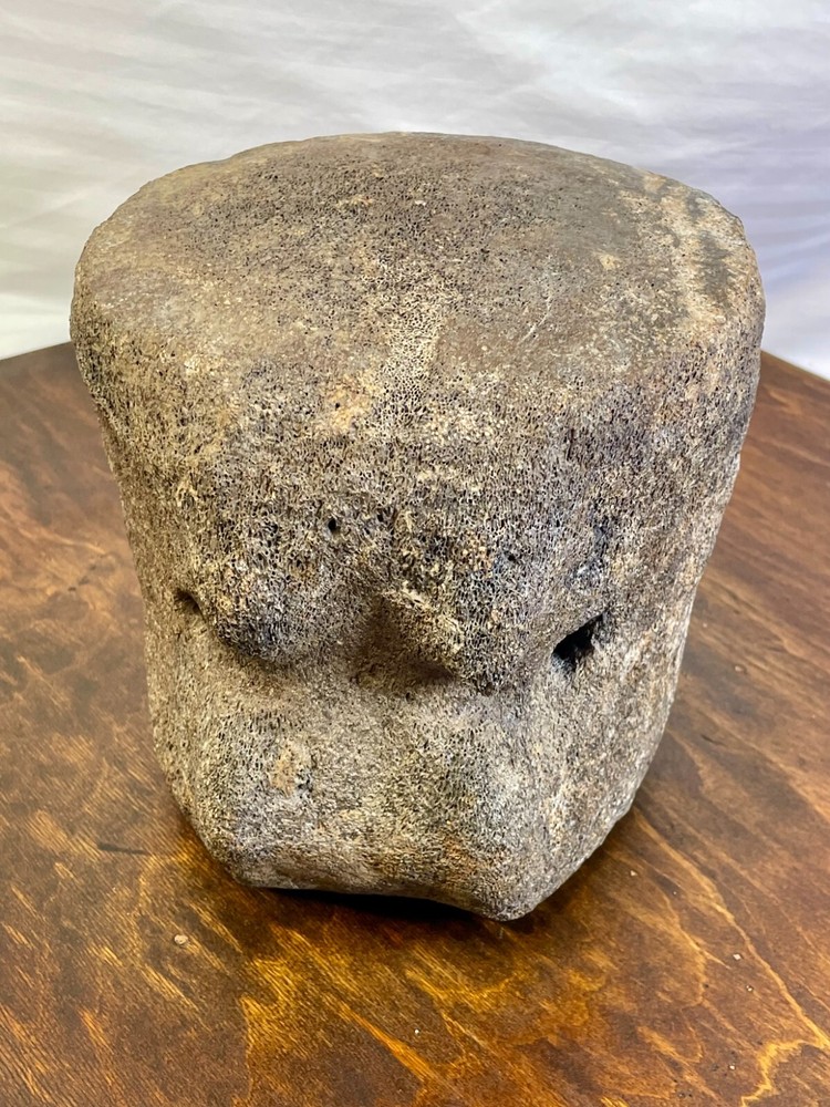 Authentic Fossilized Whale Vertebrae Bone - Unique Textured Display Piece