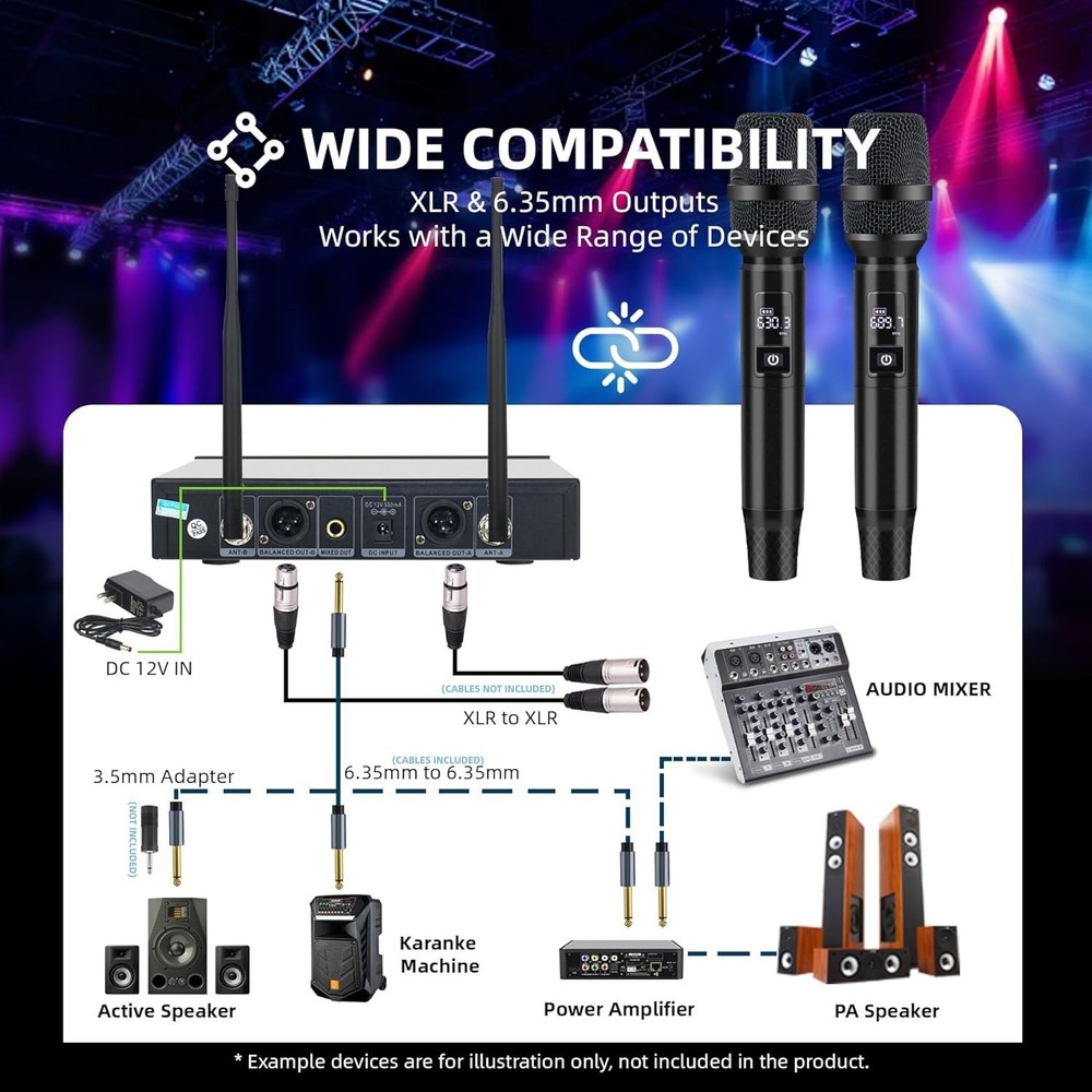 Professional Wireless Microphone System
