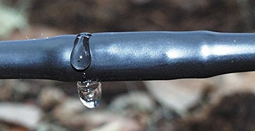 Soaker Dripline 6" Spacing 500' Roll