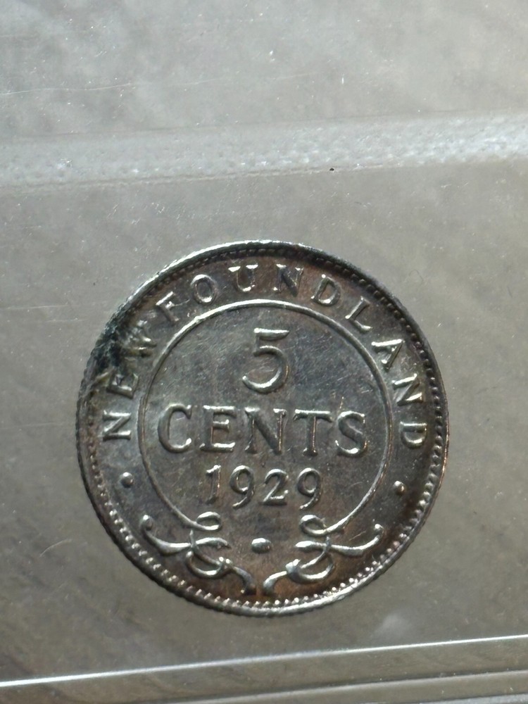 Newfoundland 5 Cent 1929 ICCS Graded AU55