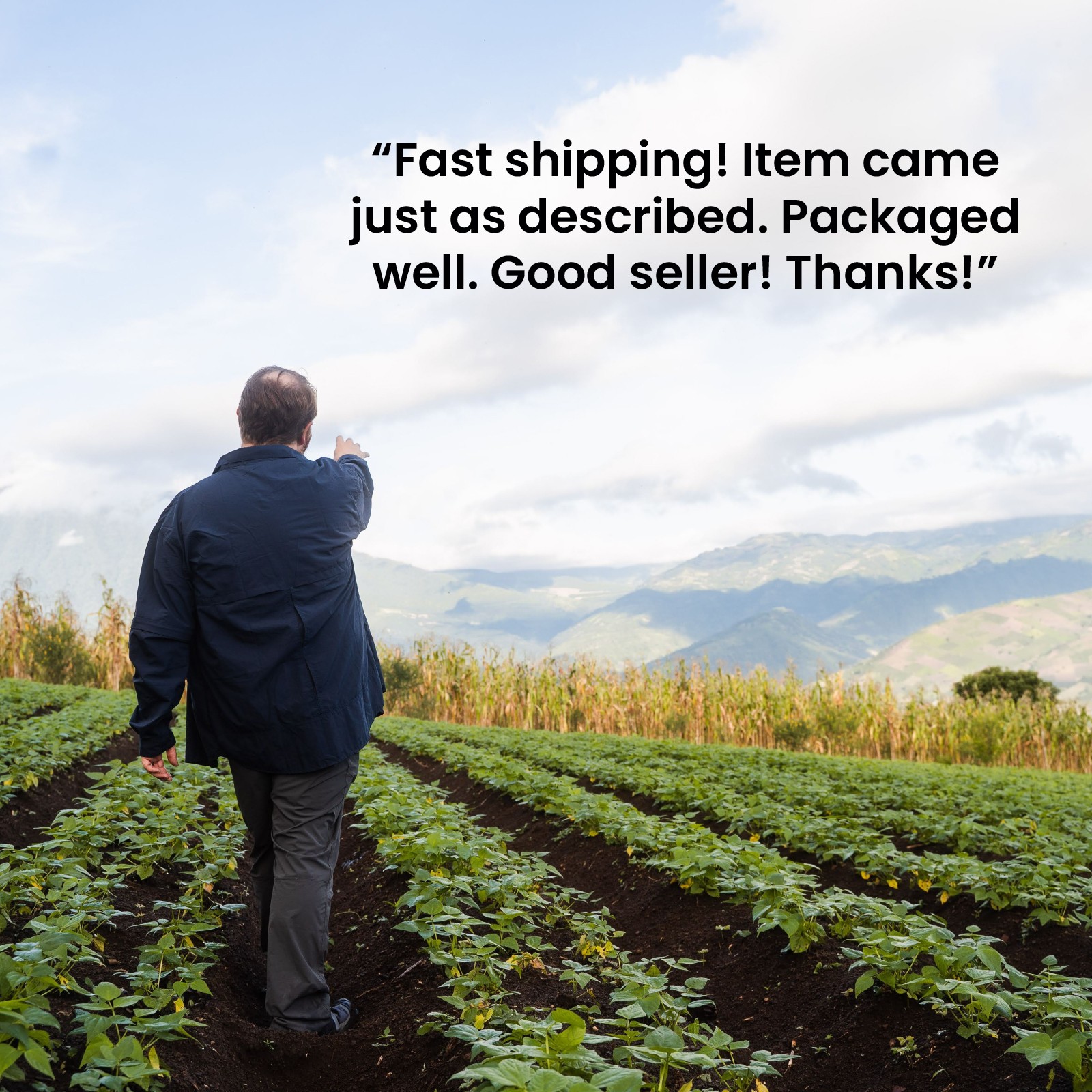 CAV DPA Fuel Injection Pump Major Rebuild Kit Fits Ford Fits Massey Ferguson