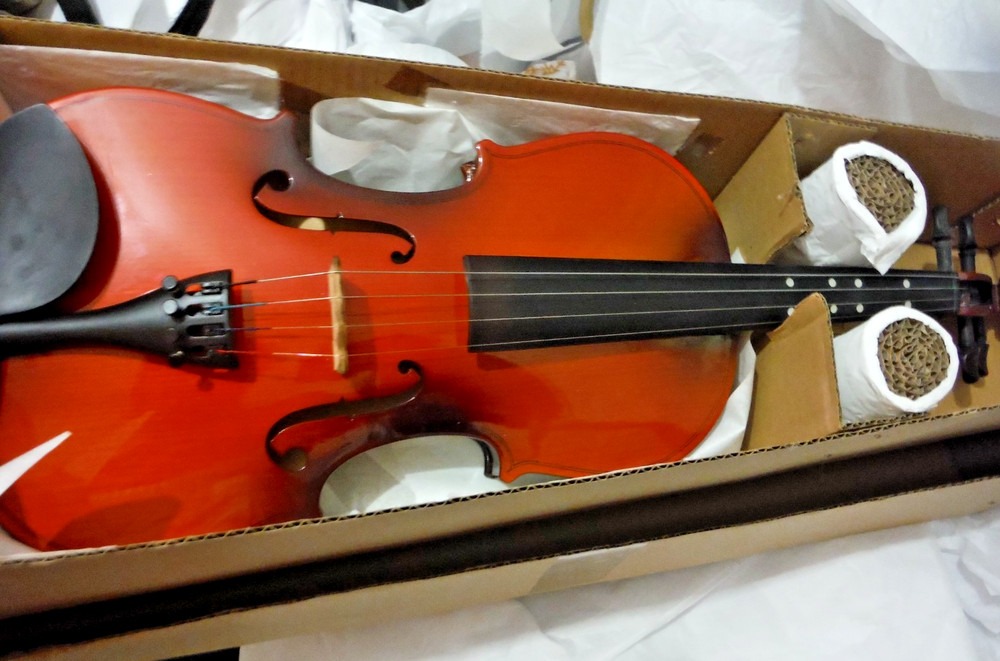 Easter 4/4 Violin NIB