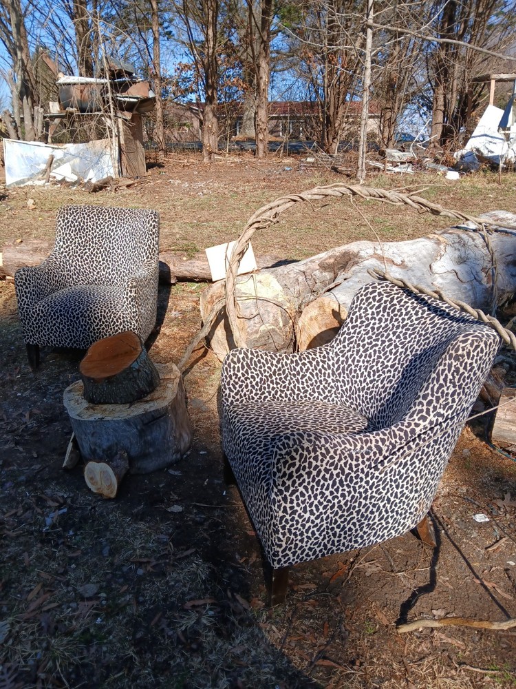 Cheetah Leopard Print