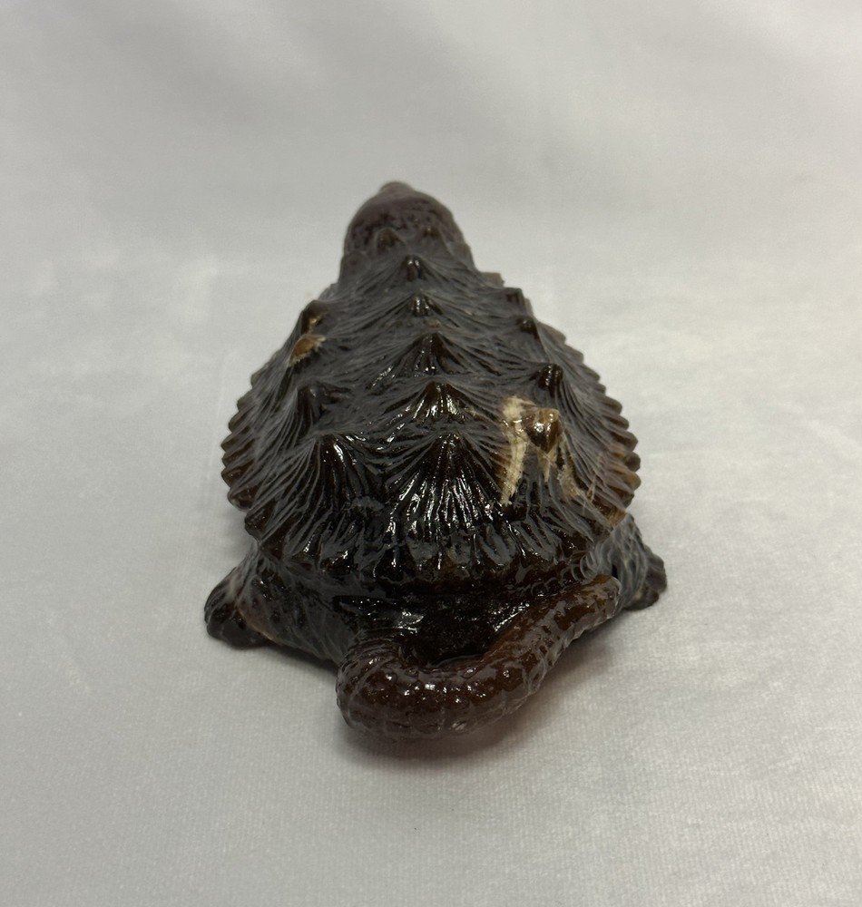 Stunning Amber Snapping Turtle