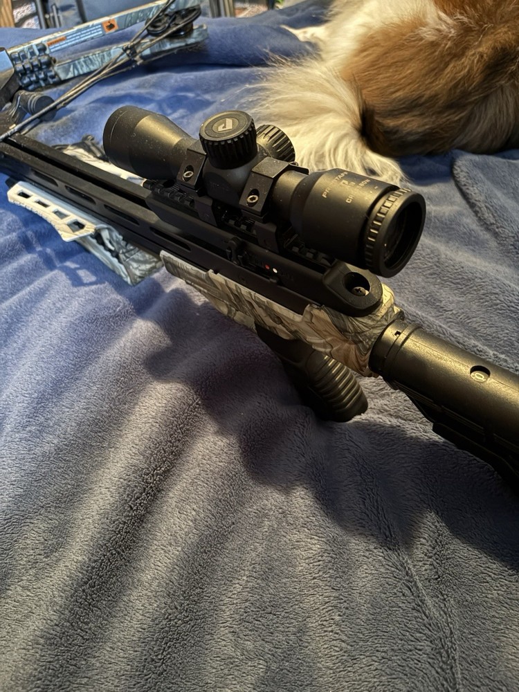 Modern Crossbow with Scope, Adjustable Stock, Black Gray