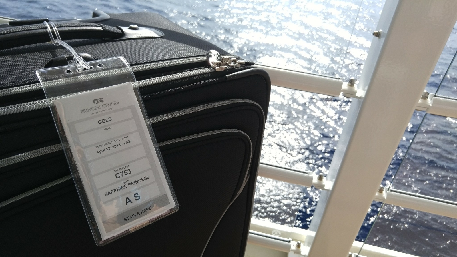 10 Pack - Premium Vinyl Cruise Ship Luggage Tag /eTag Holders with 9" Worm Loops