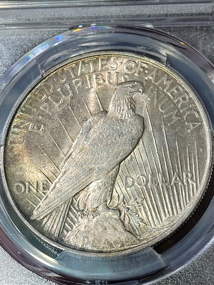1922 $1 Peace Dollar PCGS MS62 Toned