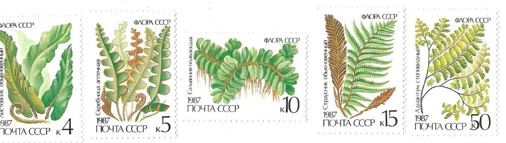 RUSSIA # 5572-76 1987 COMPLETE SET OF 5 FERNS