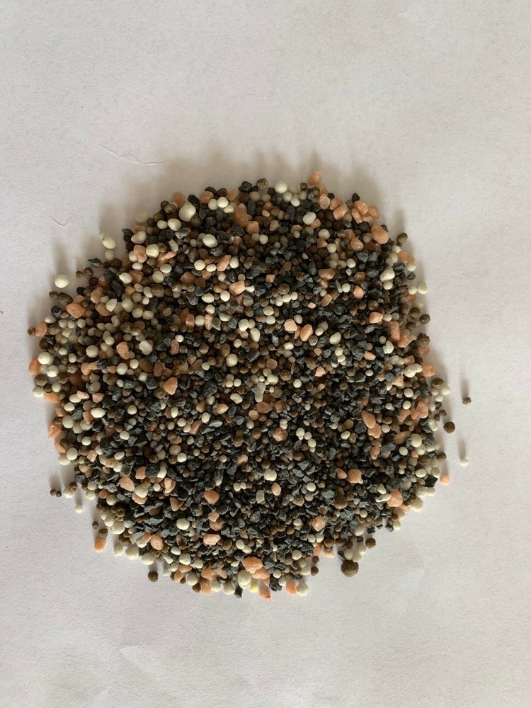 Dwarf Juniper Bonsai Tree Growth Granular Slow Release