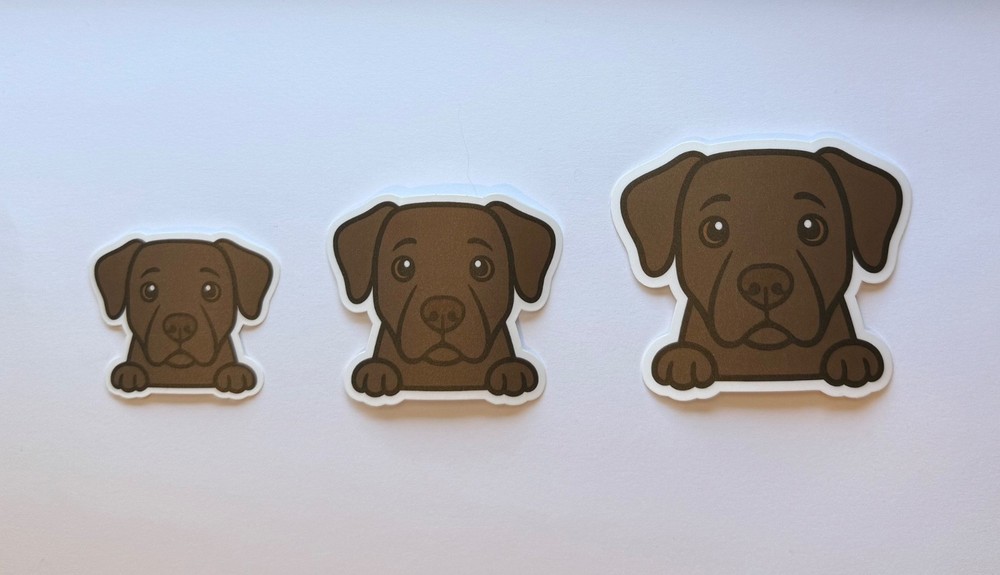 Chocolate Labrador Peeking Sticker