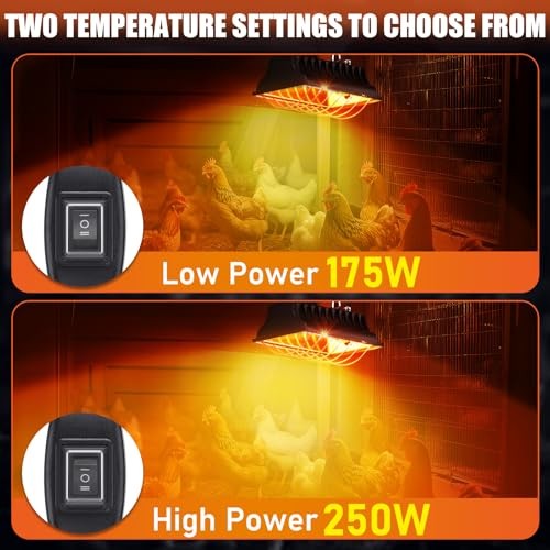 250W for Chicks Ducks, Brooder Heater with 2PCS Heat Chicken Brooder Heater