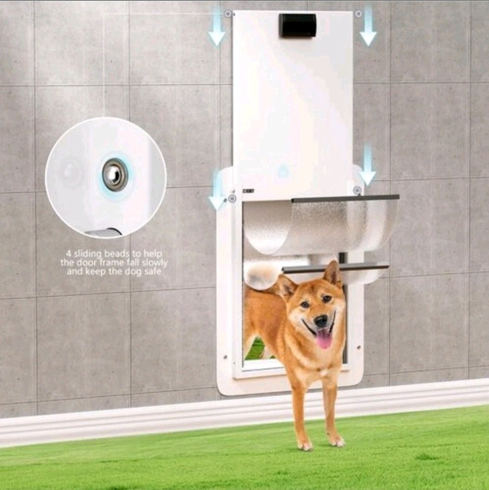 Double-Flap Dog Door for Doors & Wall, w/Closing Panel/Lock, Medium