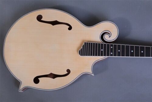 SOLID KENTUCKY STYLE LUITHIER DO IT YOURSELF ACOUSTIC F-MODEL MANDOLIN