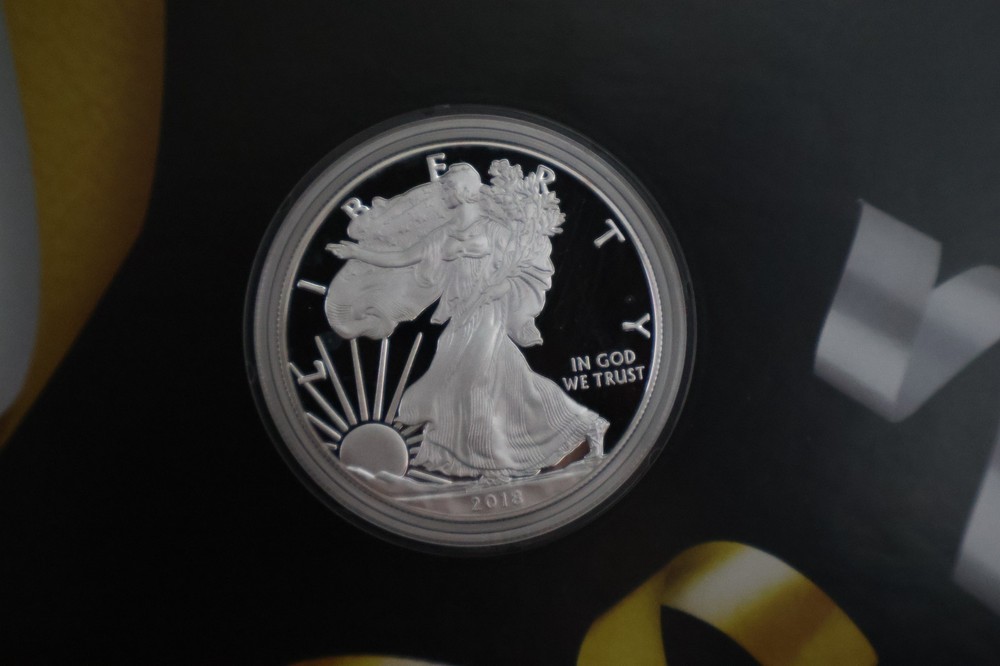 2018 W PROOF SILVER EAGLE CONGRATULATIONS SET 18RF - Holder scratches