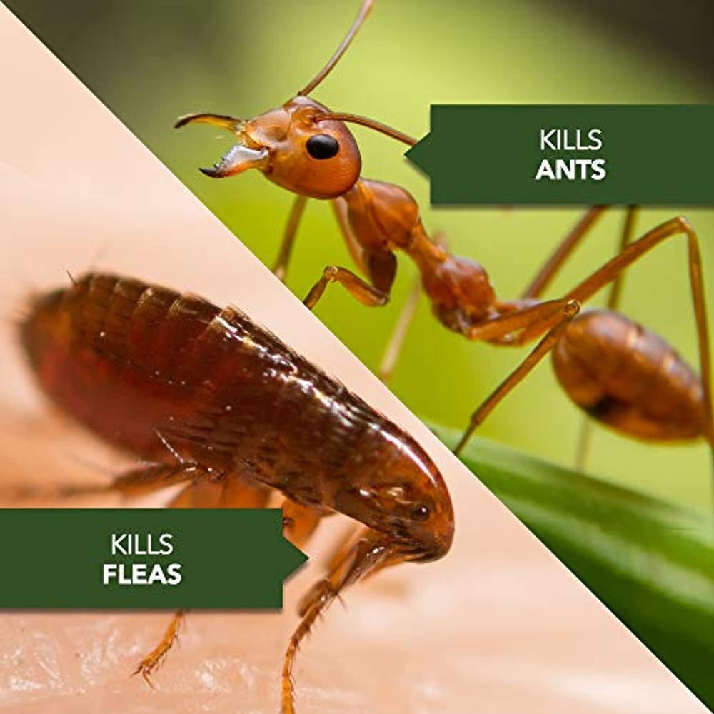 BioAdvanced 700270B Science-Based Solutions Grub, Ant & Mosquito Killer for