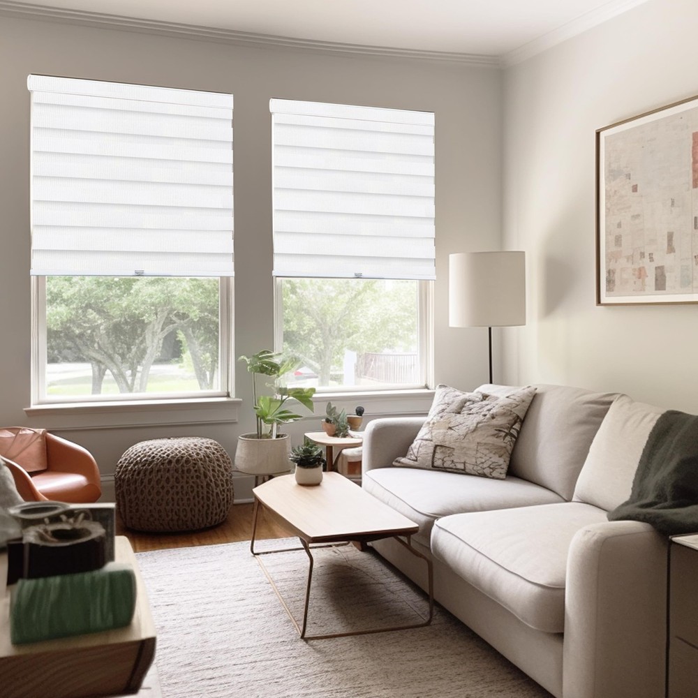 Zebra Blinds, Roller Window Shades, Blinds for Windows, Roller Shades for Win...