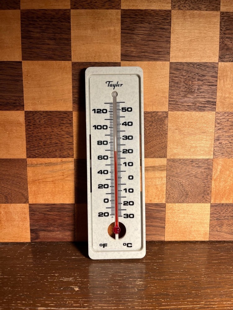 Taylor Resin Wall Thermometer