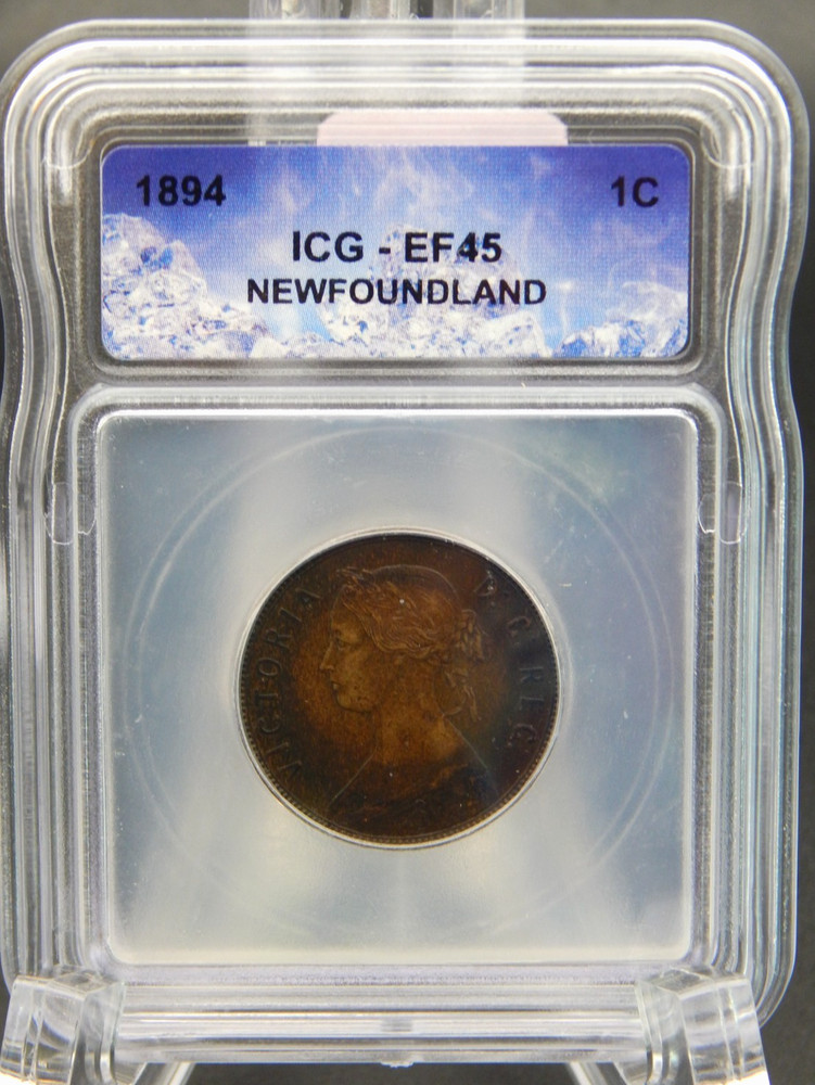 1894 NEWFOUNDLAND 1c ONE CENT ICG EF 45 (BT998)