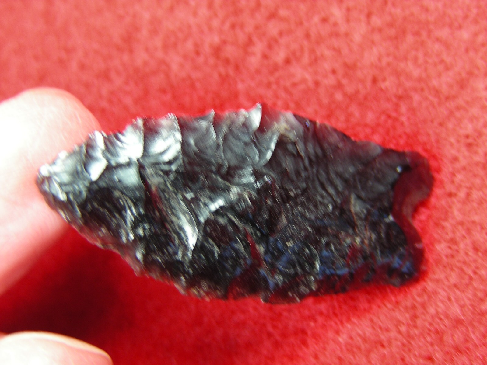 HUMBOLDT 1-1/2" CALIFORNIA Authentic Indian Relics