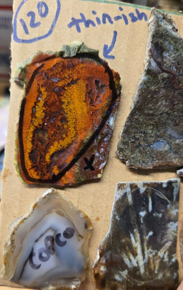 Assorted Agates and Misc., Trimmed Cabochon Slabs Preforms 10 Pcs, Flat 120