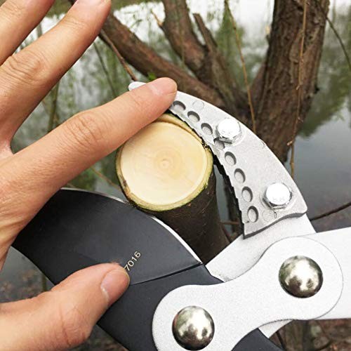 SK5 High-Performance Compound Action Anvil Lopper,Chops Thick Branches with