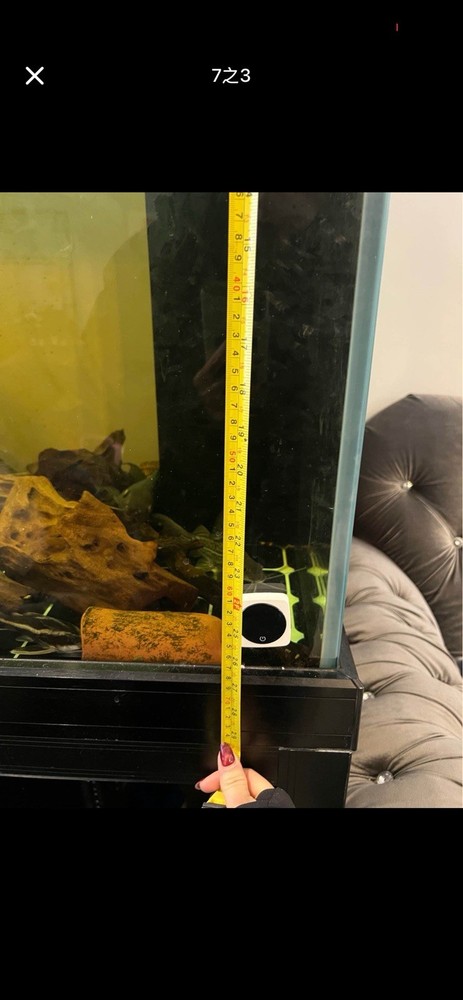 180G Fish Tank Setup with Overflow System