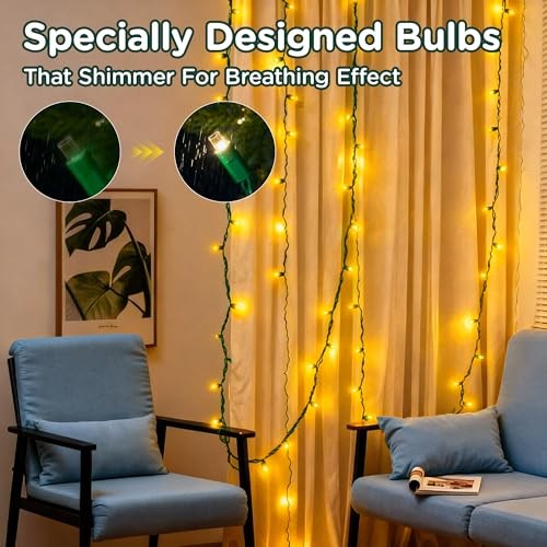 5MM Christmas String Lights (), Mini LED String 25FT Warm White - Steady